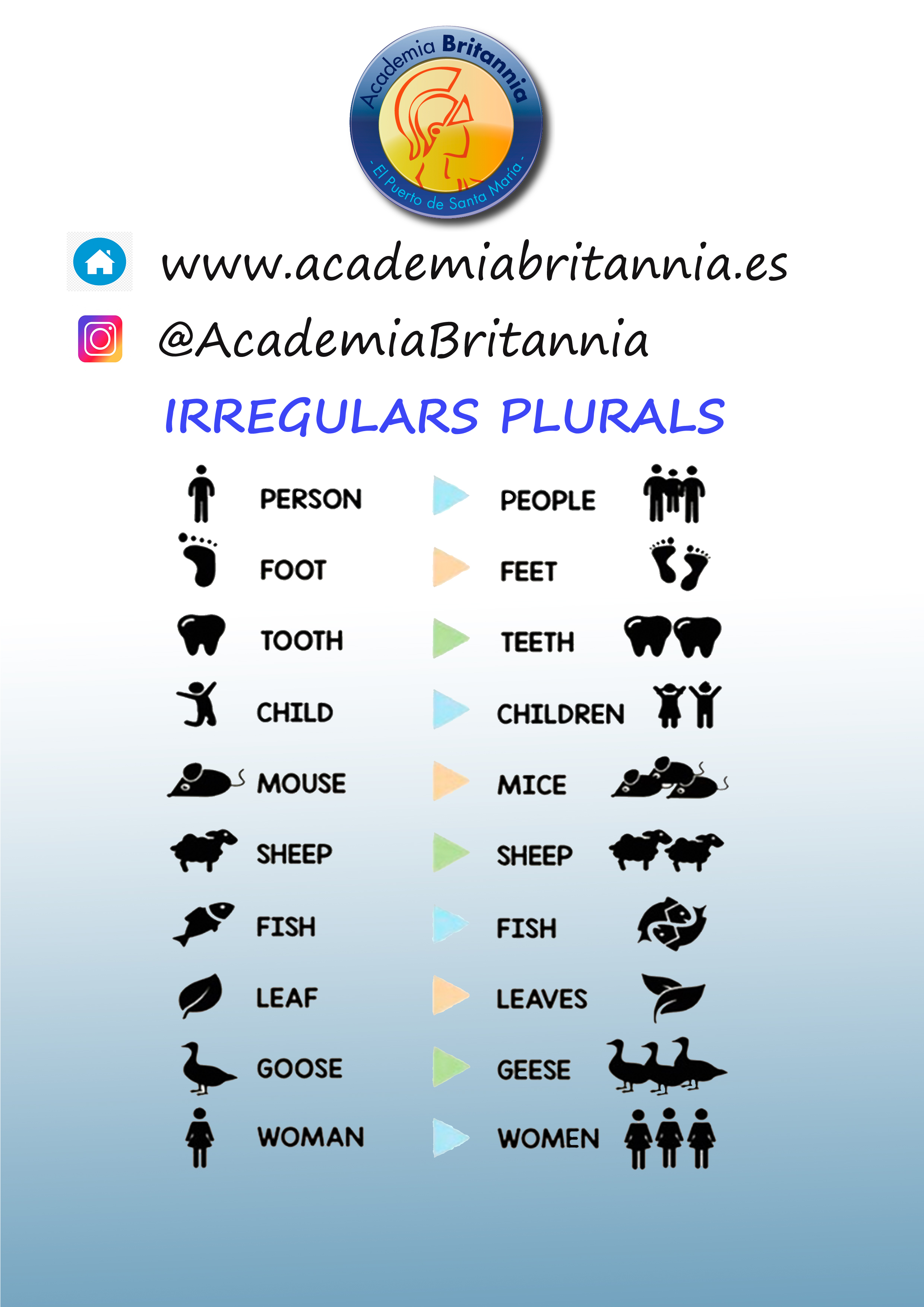 IRREGULAR PLURALS Academia Britannia