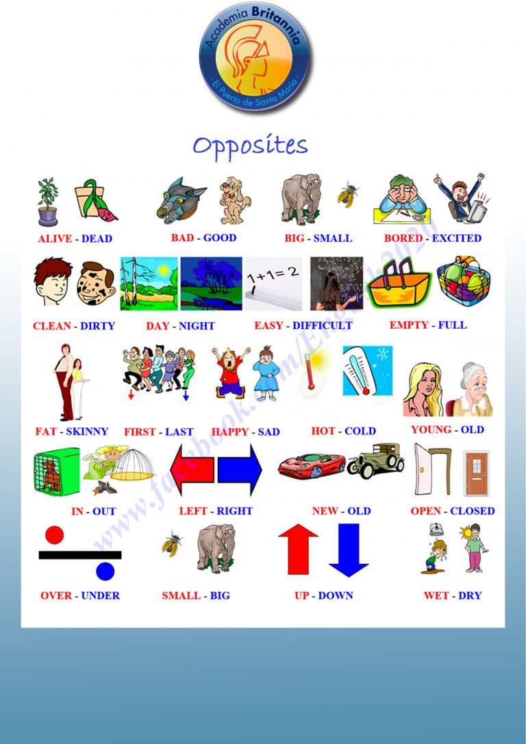 opposites-for-kids-opposite-words-vocabulary-builder-learning